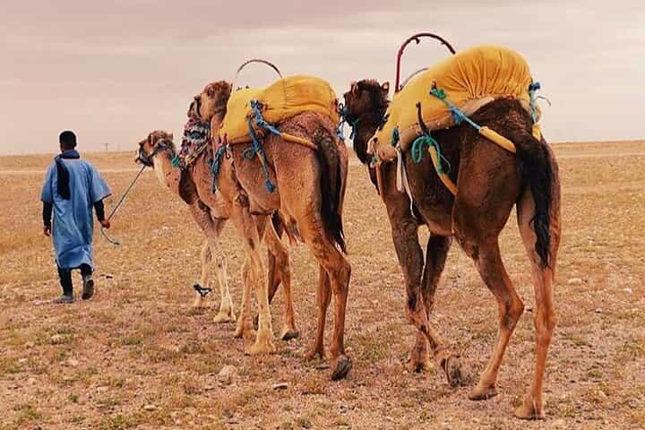 מארקש: הטיול התרבותי הטוב ביותר לכפרים ברברים, הרי האטלס ומפלים