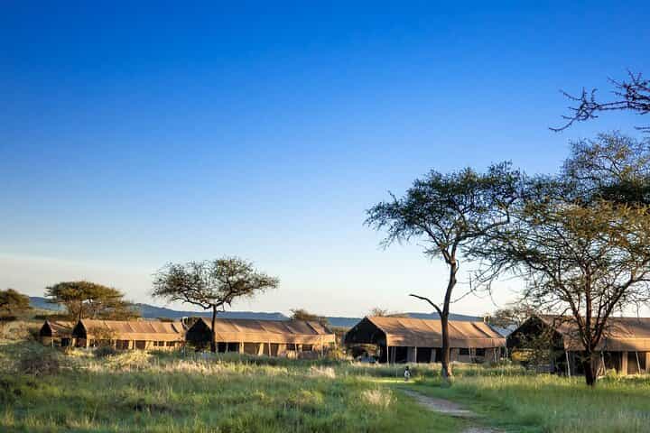 ניסיון ספארי פרטי של 8 ימים בטנזניה