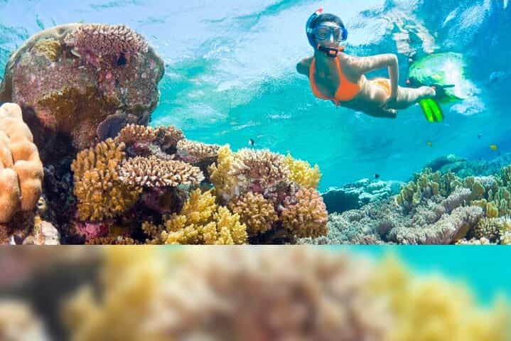 3-Day Florida: Miami Bus & Boat, Everglades & Key West Snorkeling