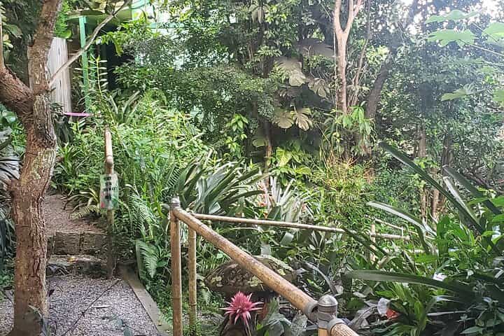 Nature and Sightseeing at Phantasea Tropical Botanical Garden