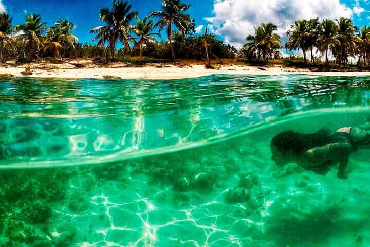 סיור סירה לצלילה על האי קטלינה בהייביפה