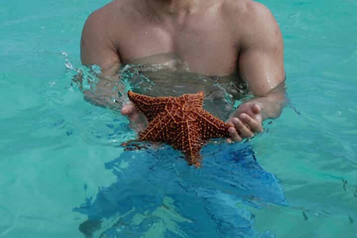 סיור של יום מלא לאי סאונה מבאיהיבה עם ארוחת צהריים