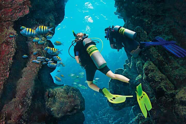 סיור סירה לצלילה על האי קטלינה בהייביפה