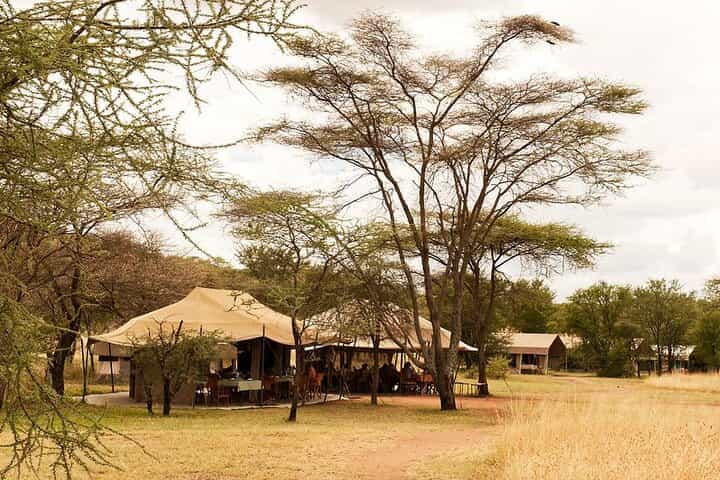 5-days-Nairobi-Arusha-lake manyara-serengeti-ngorongoro