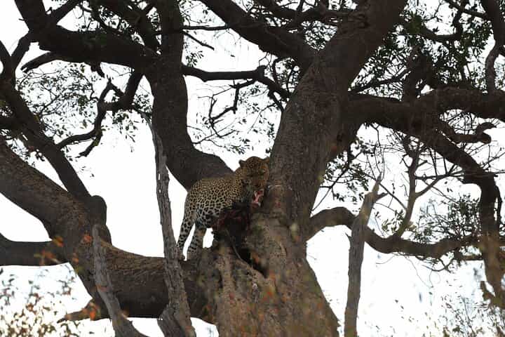 3 days/2 nights budget-group joining Masai Mara Safari