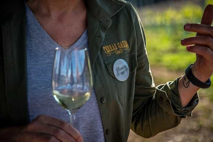 Albariño Excellence: Winery Visit & Cheese Pairing in Rías Baixas