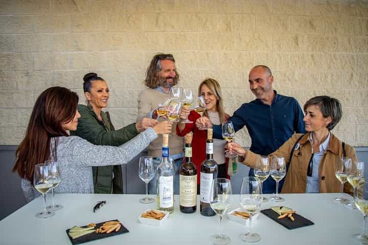 Albariño Excellence: Winery Visit & Cheese Pairing in Rías Baixas