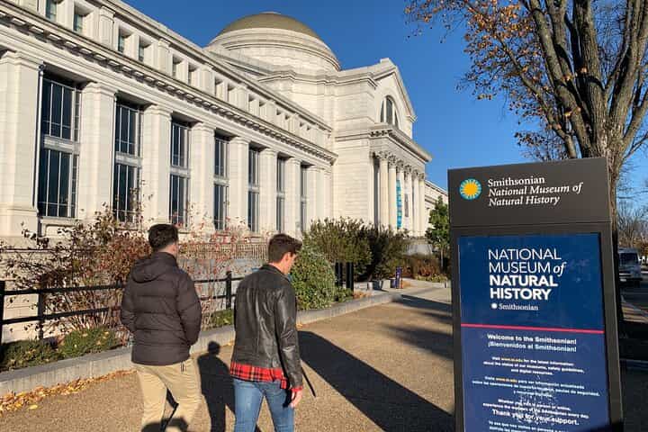 Smithsonian Museum of Natural History Guided Tour 