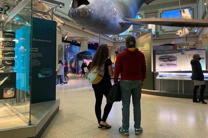 Smithsonian Museum of Natural History Guided Tour 