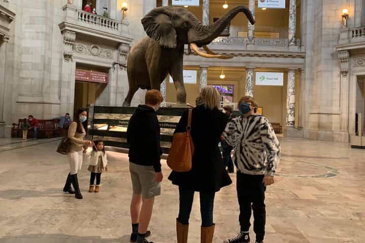 Smithsonian Museum of Natural History Guided Tour 