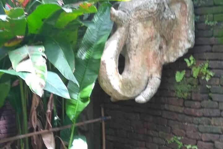 מסלול הרפתקאות במקדש סוטפ ומפלי מונטאתן משיאנג מאי