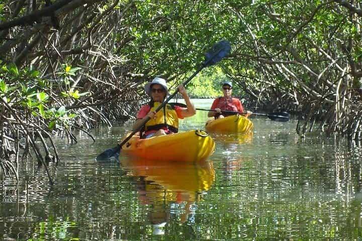 Fort Myers Beach: Full Day Kayak or SUP Rental at Pelican Bay