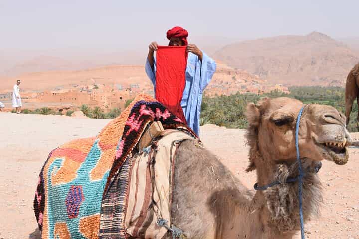 4 Days In Private To The Desert From Fes Finishing In Marrakech