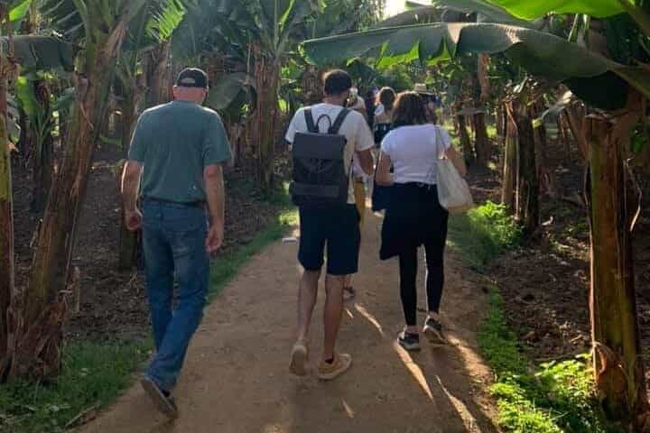 אוכל ארוחת בוקר בחווה הירוקה