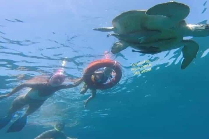 TURTLE BAY MARSA ALAM FROM HURGHADA (abu dabab)