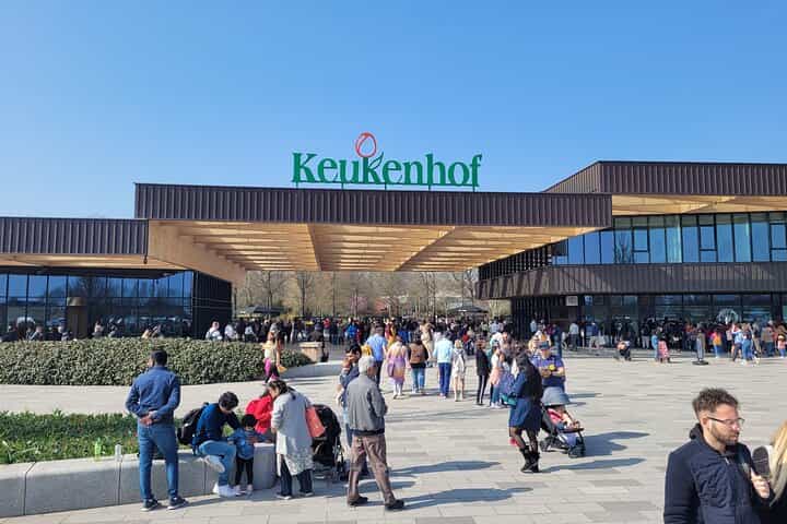 Keukenhof Tulip Gardens Private Return Transfer from Amsterdam 