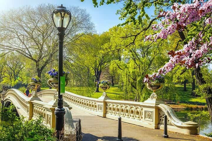 סיור רגלי פרטי בניו יורק: היסטוריה של סנטרל פארק וסודות נסתרים.