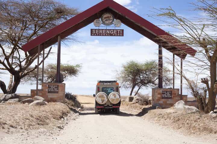 טיול ספארי פרטי בלתי נשכח בתנזניה למשך 4 ימים ותקציב