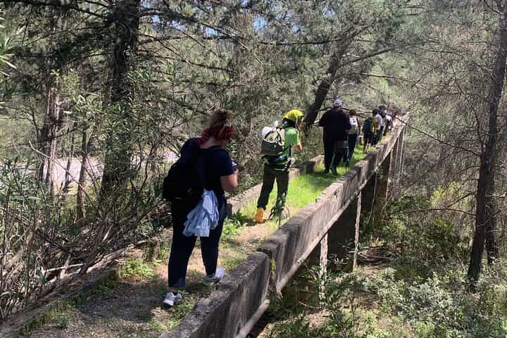 טיול רגלי באיזורי רודוס. גלו את הצמחייה, החי, ההיסטוריה והמסורת.