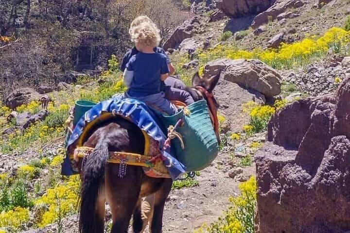 טיול יום פרטי בכפרים ברבריים ממרקש עם מדריך מקומי.