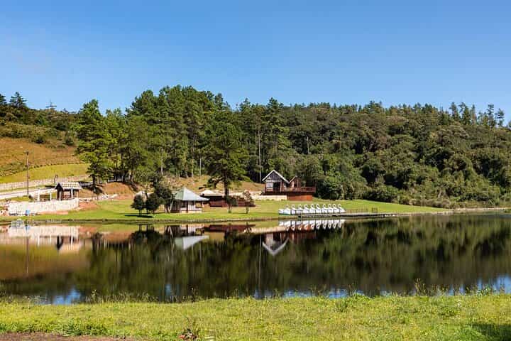קמפוס דו ז'ורדאו (סיור מודרך ברכב פרטי)