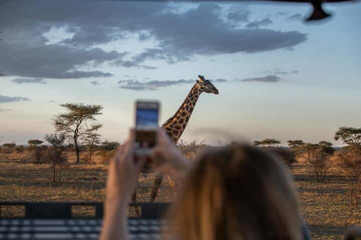 ספארי מחנאות הרפתקאות של 5 ימים לסרנגטי, לוע נגורונגורו וטארנגירי