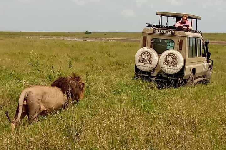 ספארי מחנאות הרפתקאות של 5 ימים לסרנגטי, לוע נגורונגורו וטארנגירי