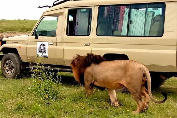 ספארי מחנאות הרפתקאות של 5 ימים לסרנגטי, לוע נגורונגורו וטארנגירי