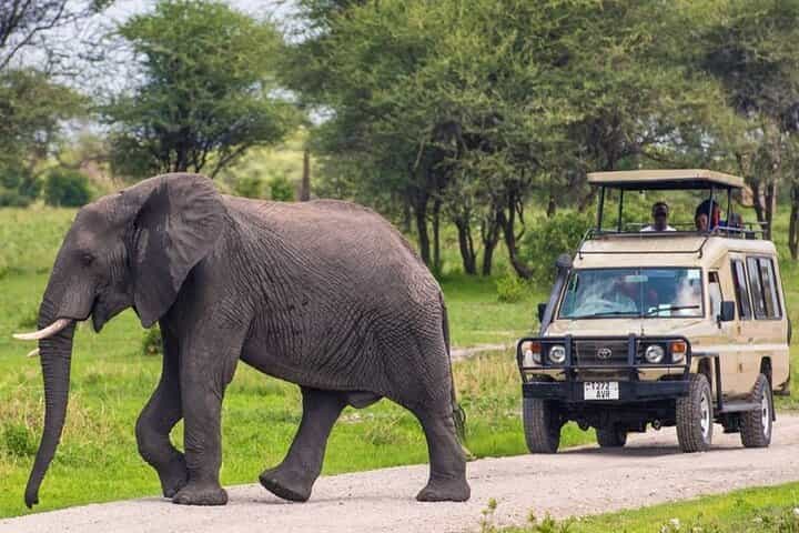 ספארי מחנאות הרפתקאות של 5 ימים לסרנגטי, לוע נגורונגורו וטארנגירי