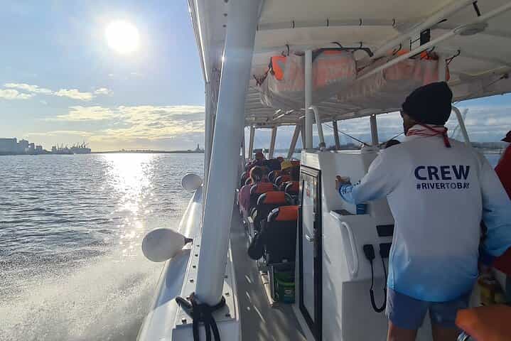 סיור סנפירים מודרך במפולות טנגאלומה מבריסבאן