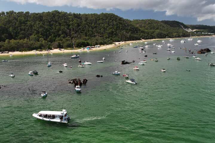 סיור סנפירים מודרך במפולות טנגאלומה מבריסבאן