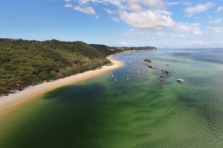 סיור סנפירים מודרך במפולות טנגאלומה מבריסבאן