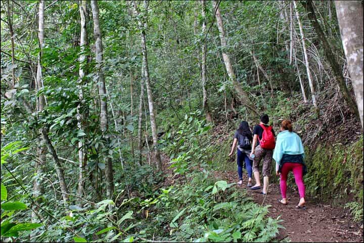 הרפתקה של 3 ימים בכפר ווארבו ואי נוקה מולס