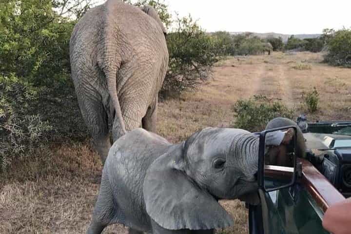 סיור מונחה בח wilderness סיבויה כולל הכל למשך 15 ימים