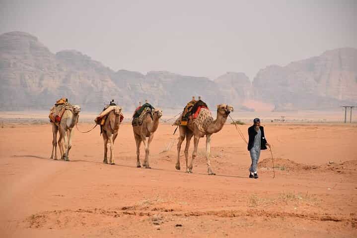 Exclusive Premium Full-Day Journey to Petra & Wadi Rum from Amman