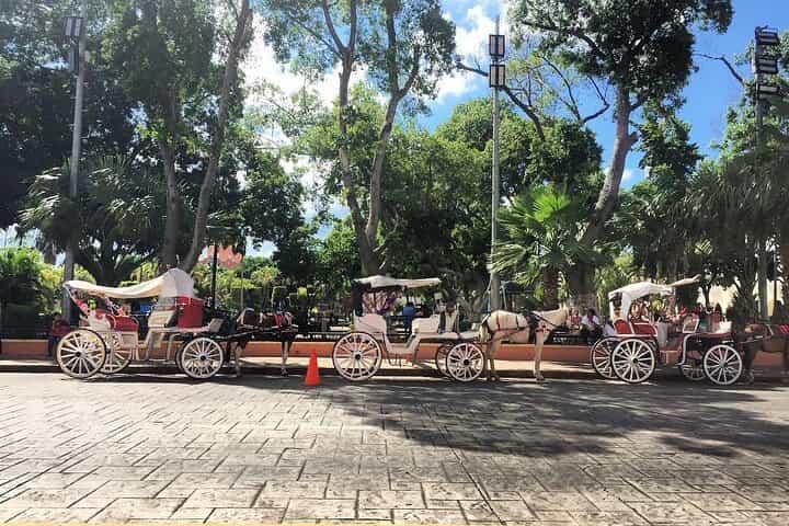 טיול חצי יום למרידה וגסטרונומיה המסורתית שלה