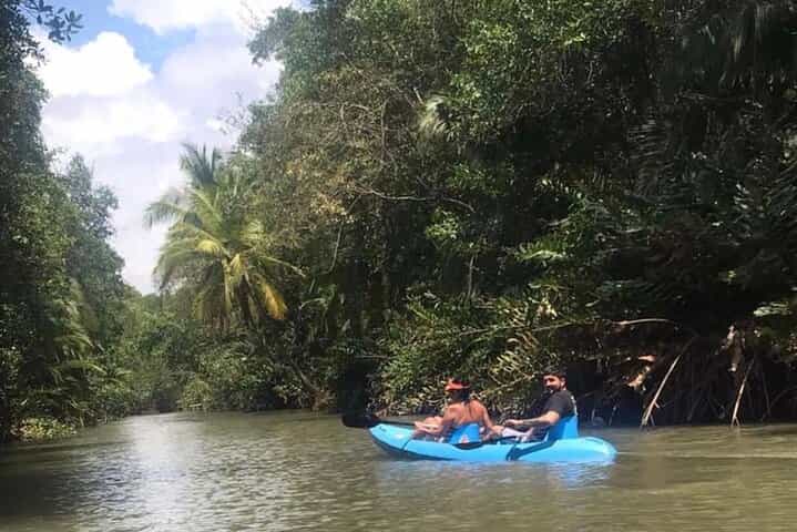 סיור קיאקים של שעתיים בקפוס