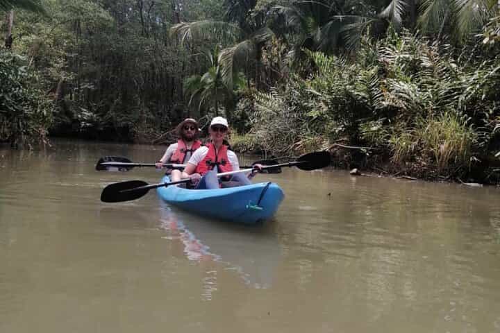 סיור קיאקים של שעתיים בקפוס