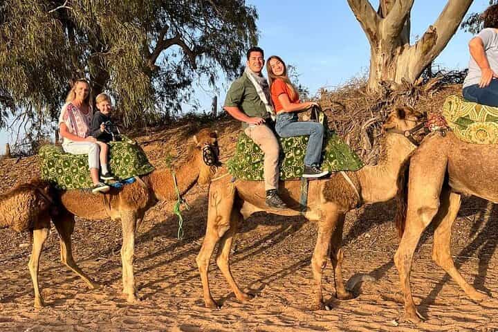 טיול גמלים אגאדיר עם שקיעת שמש וארוחת ערב ברביקיו.