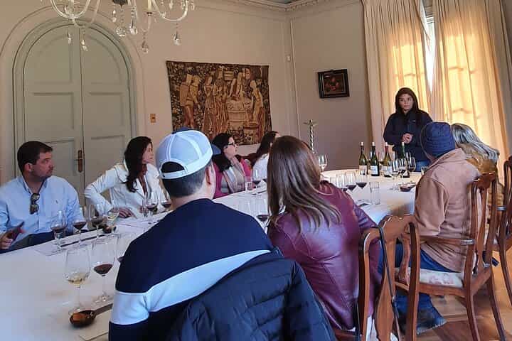 Tarapacá Winery + Santa Ema Winery, Tour + Private Transfer