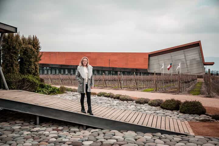 Tarapacá Winery + Santa Ema Winery, Tour + Private Transfer