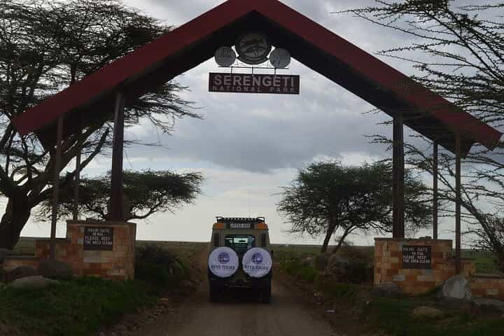 6 ימים ספארי: מניארה, נגורונגורו, סרנגטי ופארק לאומי טארנגירה