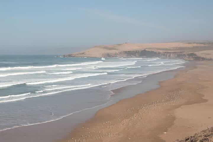 טיול ג'יפים חצי יומי בקבוצה קטנה בסוס מסה עם ארוחת צהריים