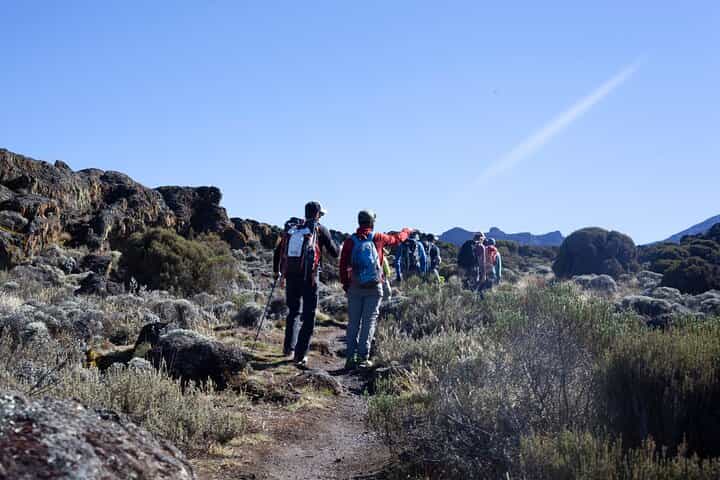 7 Days Kilimanjaro Climbing | Hiking Tour via the Lemosho Route