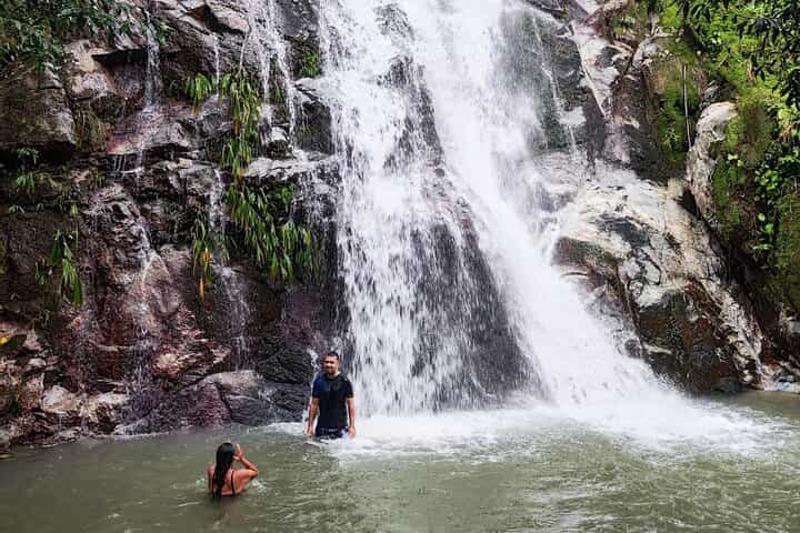 פעילות טיול רגלי לבריכת טבע בפלאומינו