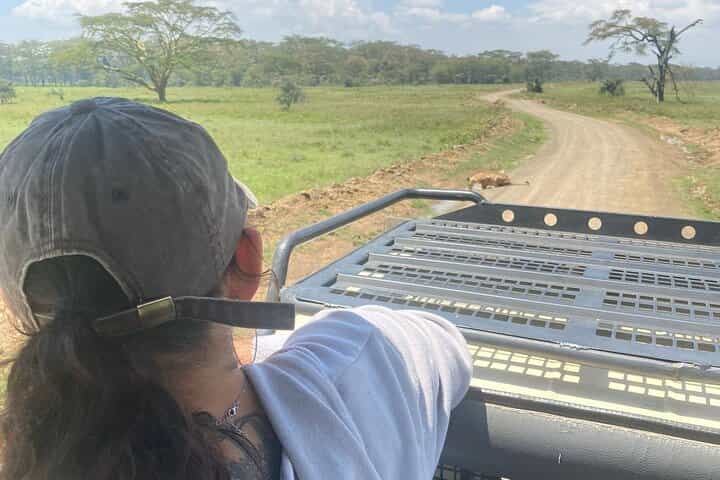 4 ימים של ספארי במאסאי מארה ואגם נקורו באיכות בינונית-יוקרתית