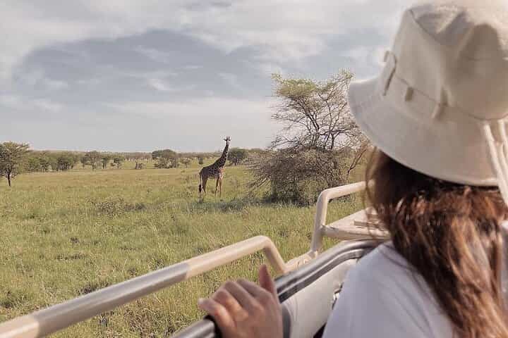 4 ימים של ספארי במאסאי מארה ואגם נקורו באיכות בינונית-יוקרתית