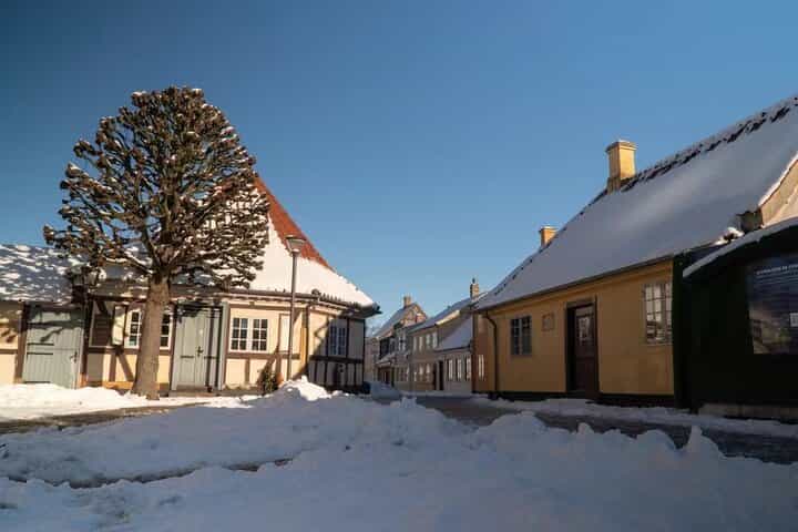 Christmas Charms in Odense – Private Walking Tour