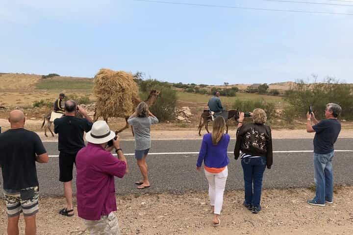 מרוקו: טיול של 10 ימים לאתרי התיירות המפורסמים והאתרים ההיסטוריים.