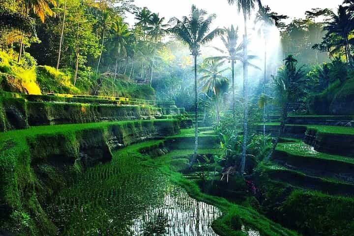 [All Inclusive] The Soul of Bali: Temples, Art & Traditions Tour